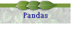 Pandas