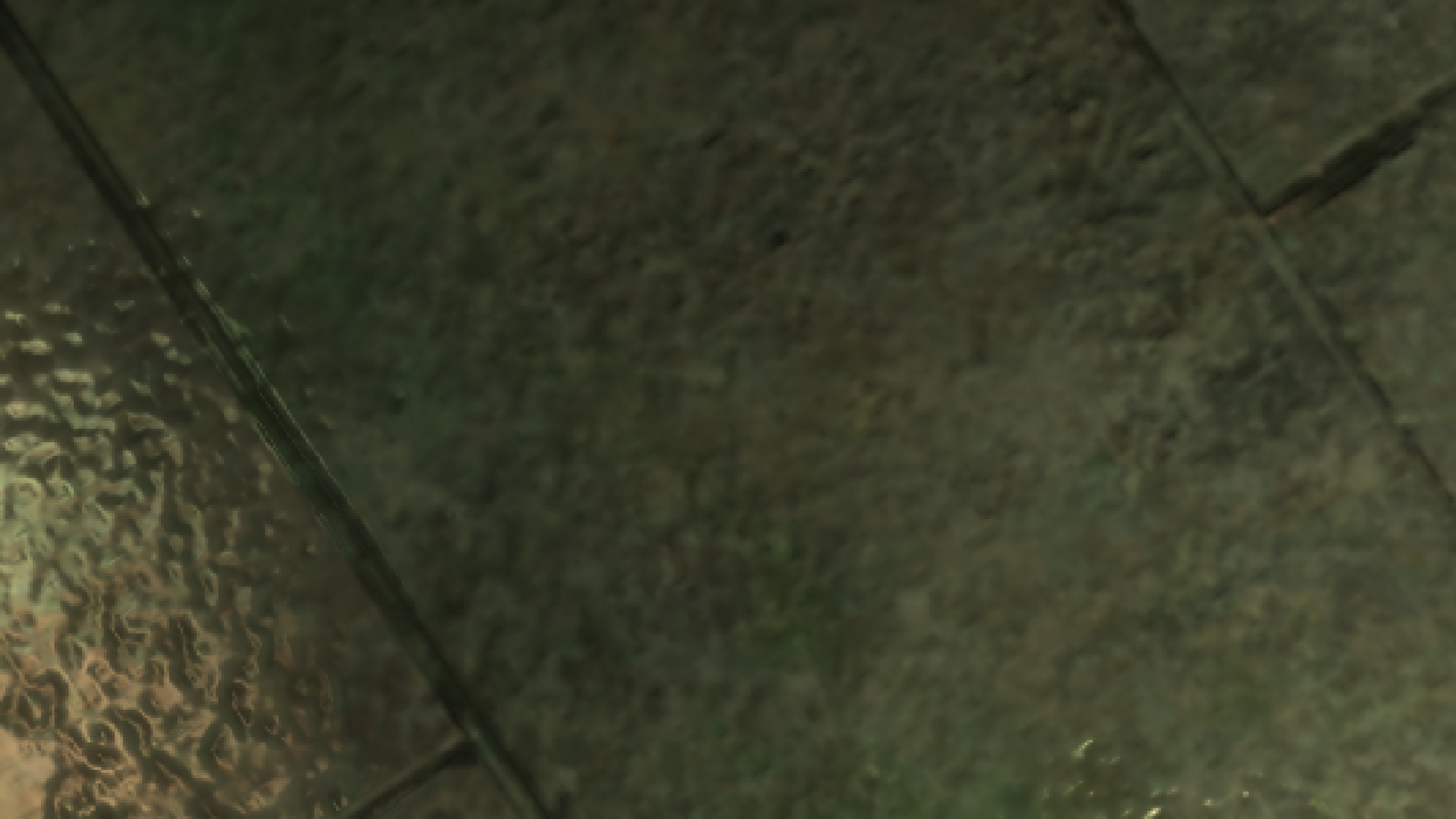 bioshock_simple.png